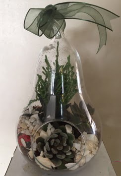 Orta boy armut terrarium 3 kakts  stanbul iek gnderme 