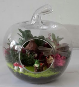 Elma cam orta boy terrarium teraryum  stanbul iek siparii sitesi 